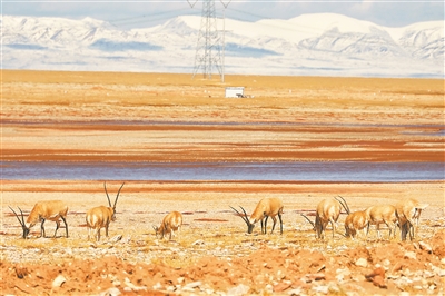 http://digitalpaper.stdaily.com/http_www.kjrb.com/kjrb/images/2023-09/19/08/3402100_lix_1695020381555_b.jpg