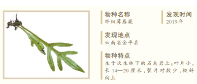 http://paper.people.com.cn/rmrb/images/1/20210914/1631564655839_1.jpg