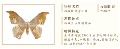http://paper.people.com.cn/rmrb/images/1/20210914/1631564716163_1.jpg
